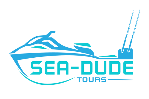 Sea Dude Tours